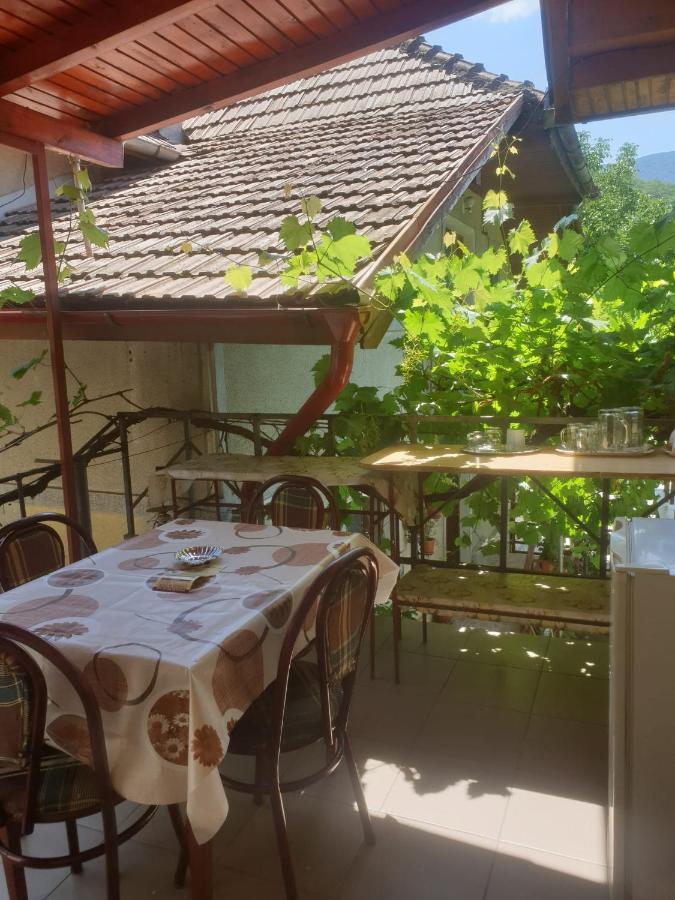 Casa Dina Ξενοδοχείο Băile Herculane Εξωτερικό φωτογραφία
